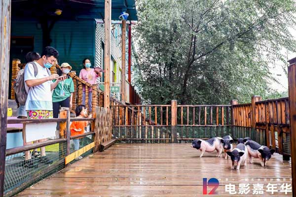 展现怀柔文旅发展新面貌！第十二届北影节电影嘉年华启动仪式圆满举行(图8)