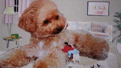 任家萱Selina最新MV《你我他》上线，手帐风定格动画怀念爱犬