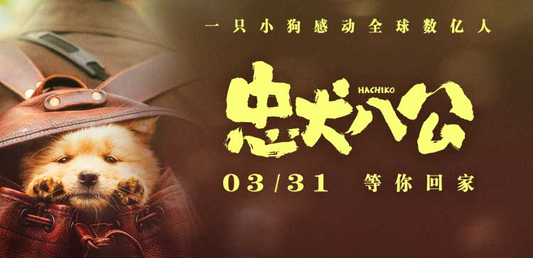 电影《忠犬八公》发布“狗狗超会演”特