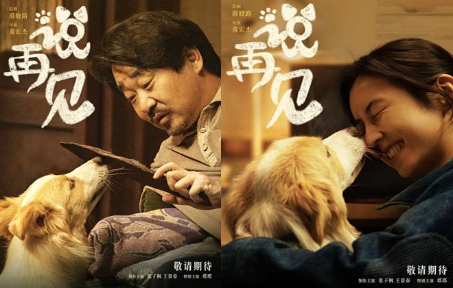 电影《说再见》曝官宣海报 张子枫王景春领衔宠物题材引人期待